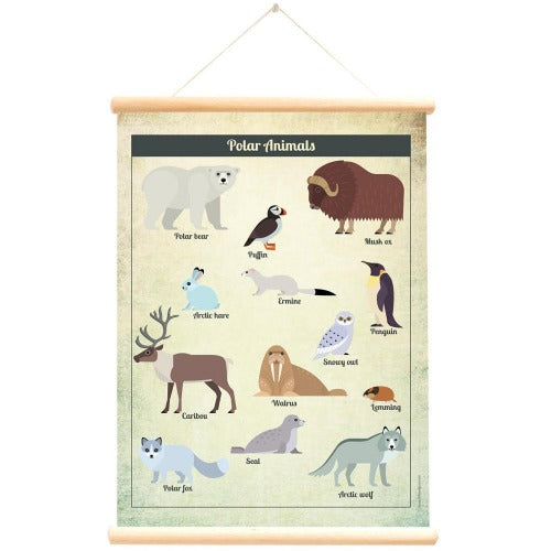 Deer Industries Wall Poster Forest Animals, Double Sided Poster, Poster with wooden hanger, Educational poster, kids room decor