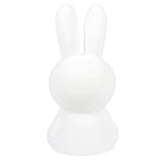 Deer Industries Mr Maria Night light Miffy My first light. Cute dimmable rechargeable LED night light for toddler boy and girl.  Edit alt text