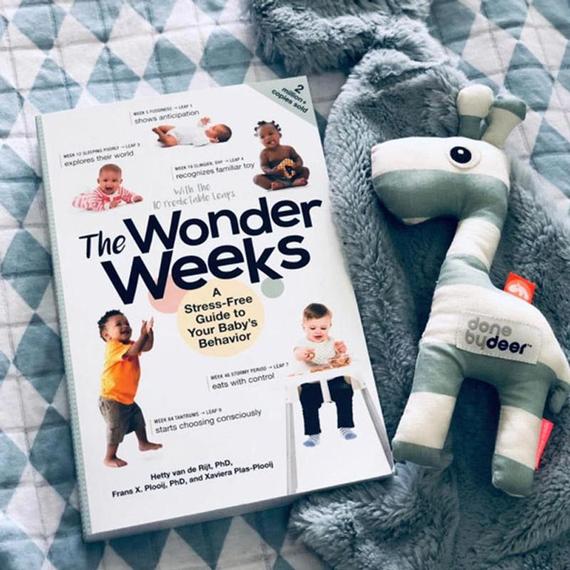 What's New | The Wonder Weeks - A Guide Book for New Parents