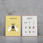 Deer industries Kids Store Singapore, Educational Poster for Kids, Educational Chart for Children, Kids Wall Decor, Children Study Room Decor, Insects Educational Chart