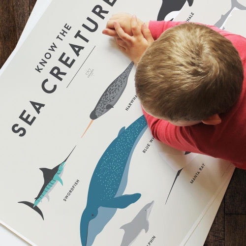 Deer Industries Kids Decor Store, Children' Educational Posters of Sea Creatures, Squared Charts